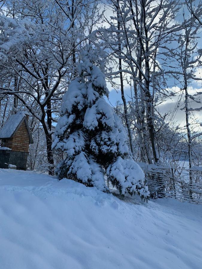 Mountain Family Chalet On Prahova Valley Comarnic Exterior photo